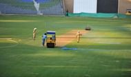 Pitch conditions play a crucial role.